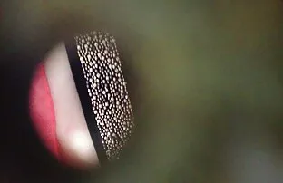 Douce films pornos gratuits francais Lola avec ses pieds étouffés de sperme