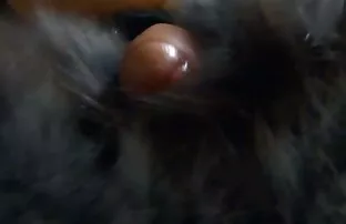 Conférence film porno fr streaming Erotique # 1