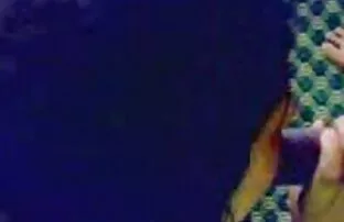 Coulée film porno gratuit vf SM